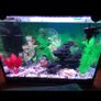40cm Fish tank light multiple color Image 3