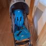Buggy Image 2