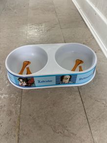 Double pet bowl