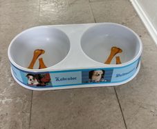 Double pet bowl