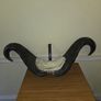 African Water Buffalo Horns Image 5