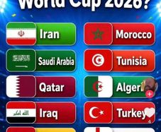 Panini world cup stickers