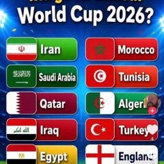 Panini world cup stickers