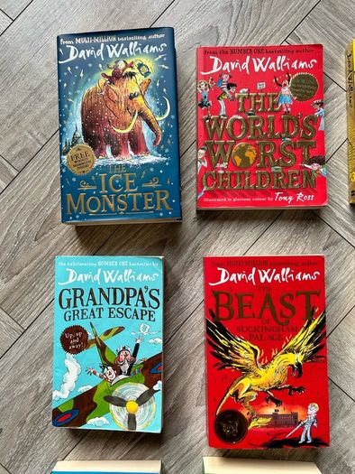 David Walliams Books Collection