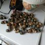 brass fittings Image 4
