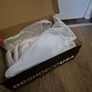 DC shoes Image 6