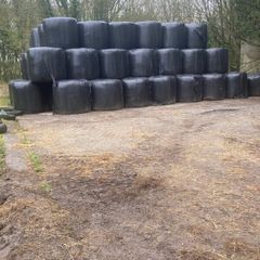 Silage