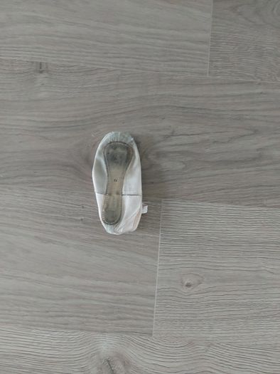 Ballet Shoes