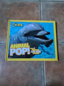 Kids Animal Pop book