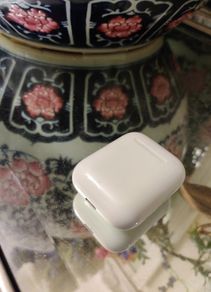 Apple earpod