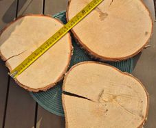 Birch Wood Slices Cookies