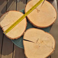 Birch Wood Slices Cookies