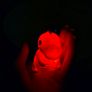 Bath Time Dinosaur LED Toys Image 2