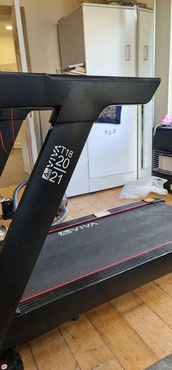 Professional Treadmill