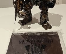 Collectible figure elder scrolls and artbook
