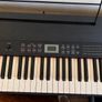 Piano Keyboard + Pedal + Stand Image 3