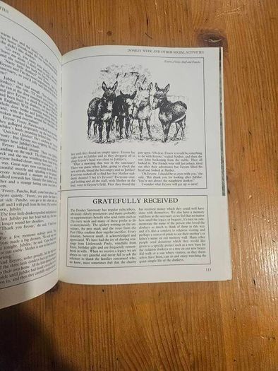 A Passion For Donkeys. By Dr Elizabeth D. Sevendsen. Large Volume Paperback In Good Condition.  See Photos For Same.