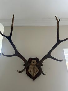 Antlers