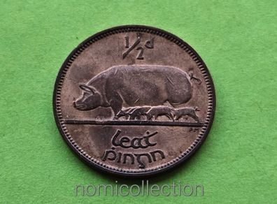 Ireland 1949 year Bronze Half Penny.