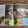 Polish Children's Nature Book, Age 6+ Image 8