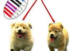 Dog Lead Coupler