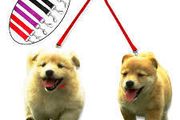 Dog Lead Coupler