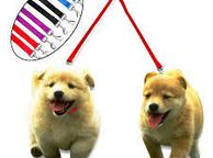 main image for ad Dog Lead Coupler