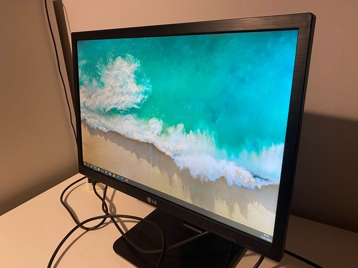 LG 22inch IPS Monitor