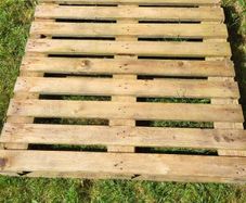 Wooden Pallet