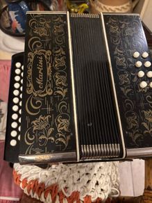 Vintage martini 2 button accordion
