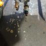 Ryobi Petrol Powerwasher (READ AD) Image 4