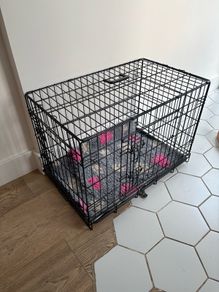 dog crate