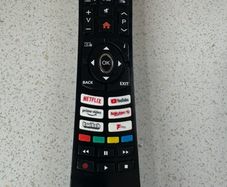 Walker TV remote