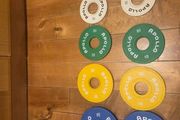 fractional plates
