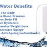 Kangen Water Machine (NEW) Image 10