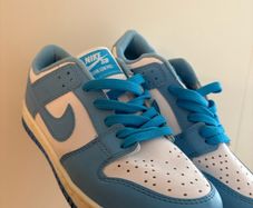 nike dunk copy's
