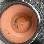 ceramic pot Image 3