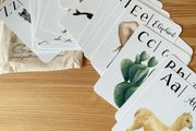 Jo Collier Cards
