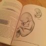 Pregnancy book,Your Pregnancy week by week Image 2