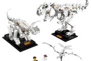Lego Ideas Dinosaur Fossils 21320