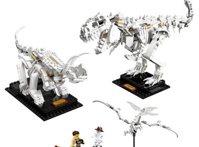 Lego Ideas Dinosaur Fossils 21320