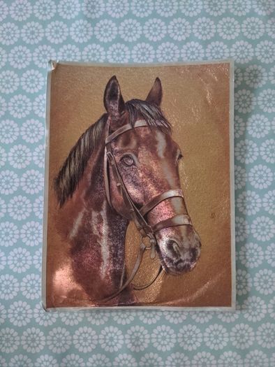Horse prints