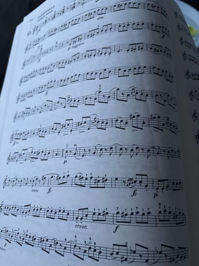 Mazas Etuden Opus 111