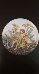 Wedgwood Bone China World of Fairies Plate