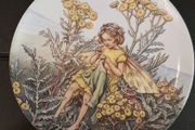Wedgwood Bone China World of Fairies Plate