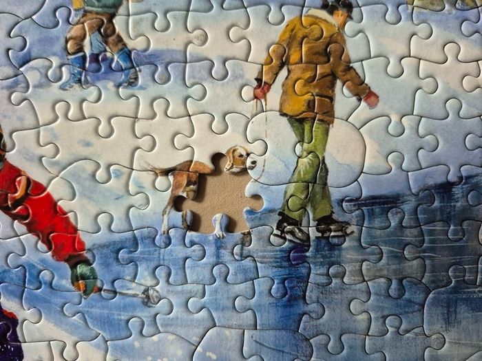 The House of Puzzles jigsaw 1000 pieces