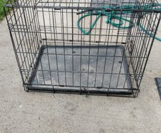 dog cage