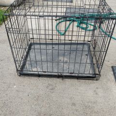 dog cage