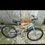 bikes Image 4