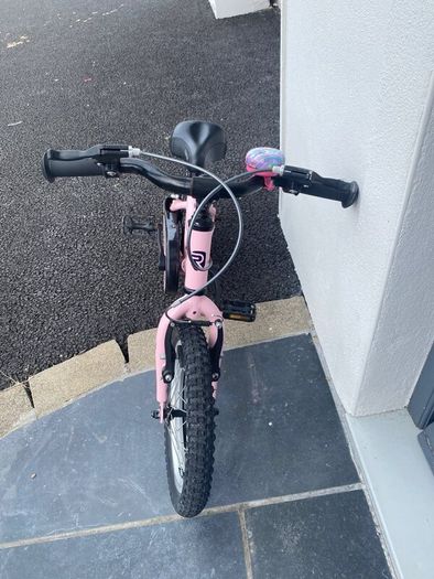 Ridgeback Honey bike